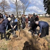 Kokoszyce. Młodzi zasadzili nowe drzewa w parku