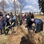 Akcja sadzenia drzew w Kokoszycach