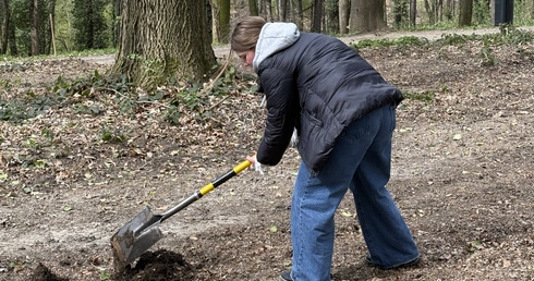 Akcja sadzenia drzew w Kokoszycach