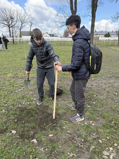 Akcja sadzenia drzew w Kokoszycach