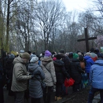 Katowickie nabożeństwo Drogi Krzyżowej