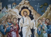 Papierek lakmusowy