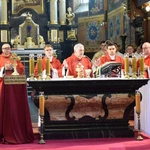 Niedziela Palmowa w Sandomierza