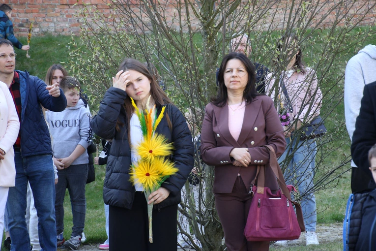 Płock. Niedziela Palmowa w katedrze