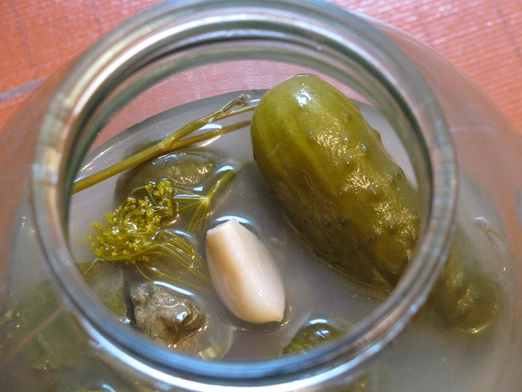 Badania potwierdzają korzystny wpływ kiszonek na przewód pokarmowy