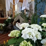 Groby Pańskie AD 2025