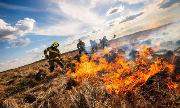 Gasznie pożaru suchych trzcinowisk