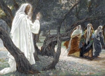 Prawda nie mieszcząca się w głowach