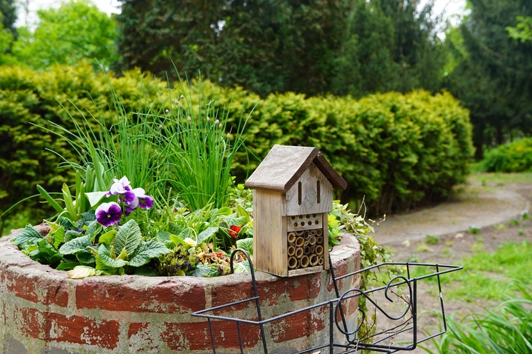 25-lecie Hospicjum Zakonu Bonifratrów im. św. Jana Bożego we Wrocławiu