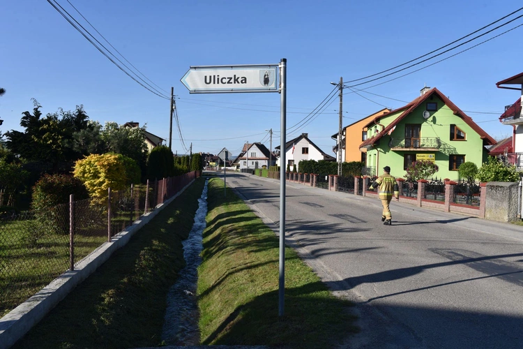 Procesja Wojciechowa w Gołkowicach