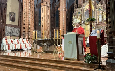 Kościół gliwicki dziękuje za papieża Franciszka