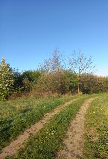 Wartości skrywane w naturze
