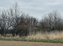 Nienawiść na ścianach
