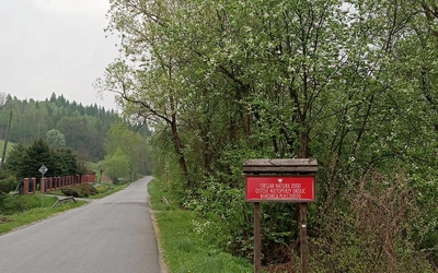 Nastała Cisza