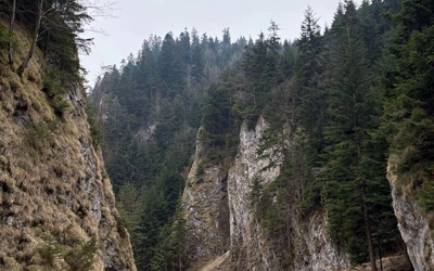W poszukiwaniu ciszy - o relacji z Bogiem w górach i naturze