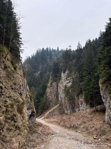 W poszukiwaniu ciszy - o relacji z Bogiem w górach i naturze