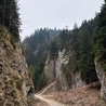 W poszukiwaniu ciszy