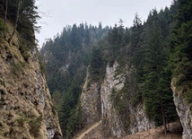 W poszukiwaniu ciszy