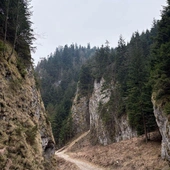 W poszukiwaniu ciszy