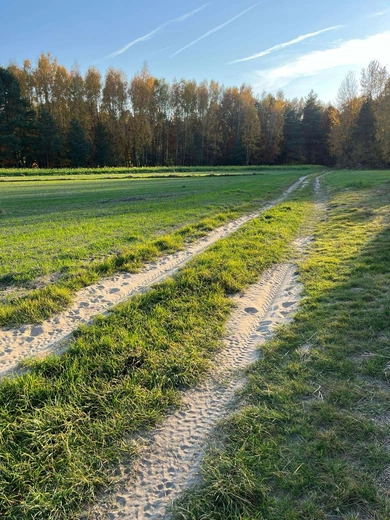 Droga przez naturę