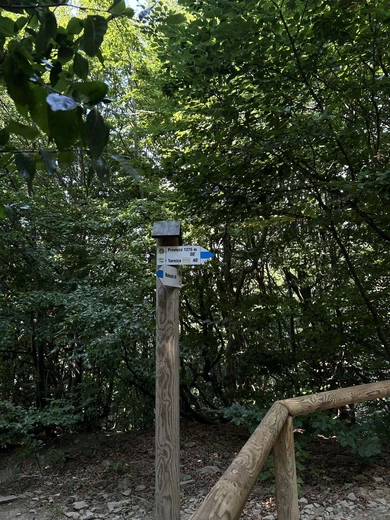 Gdzie jest ta miłość?