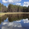 Gdy natura przemawia szeptem