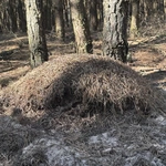 Gdy natura przemawia szeptem
