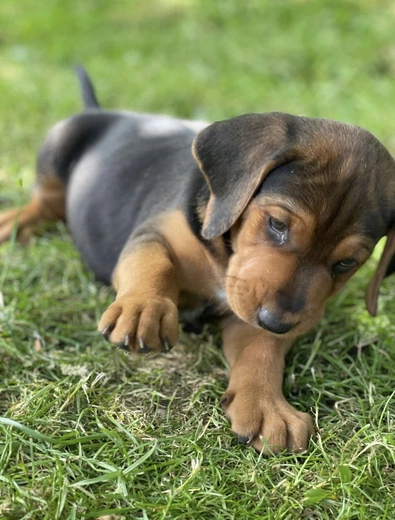 Od ciekawości do mądrości