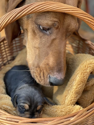 Od ciekawości do mądrości