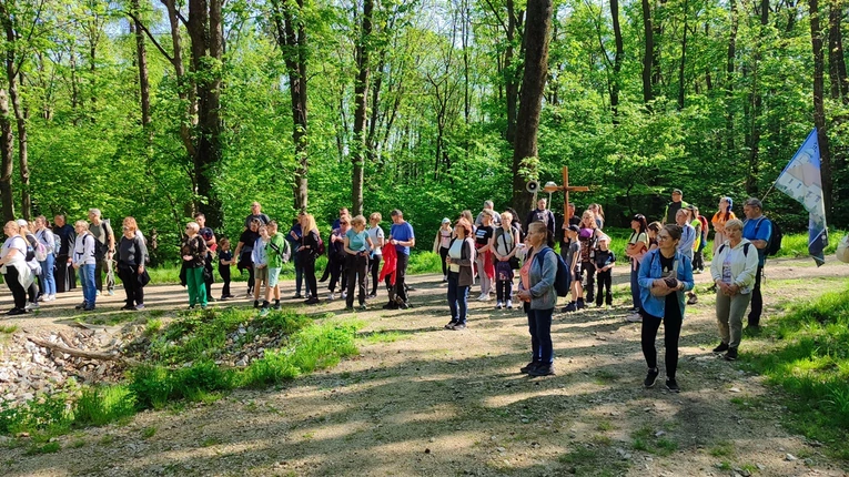 Pielgrzymkowa majówka z Sobótki do Sulistrowiczek