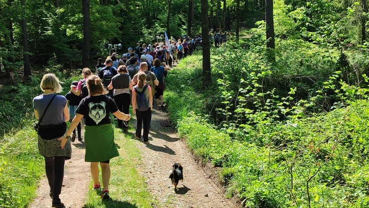 Pielgrzymkowa majówka z Sobótki do Sulistrowiczek