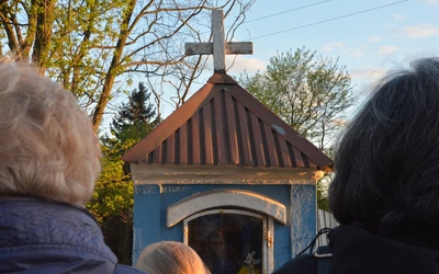 Tyś wielką chlubą naszego narodu