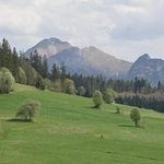 Święto Bacowskie na Tarasówce 