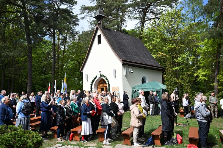 Pielgrzymka Promienista na Górę Chełmską