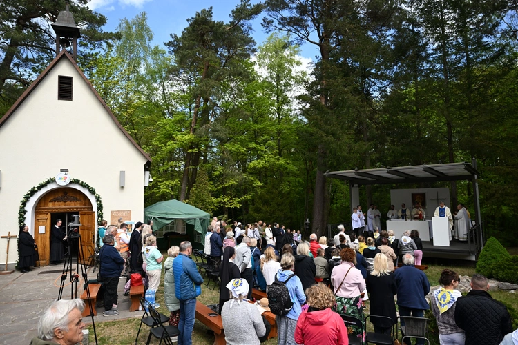 Pielgrzymka Promienista na Górę Chełmską