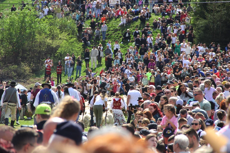 Błogosławieństwo owiec w Jaworkach