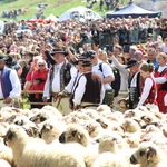 Błogosławieństwo owiec w Jaworkach