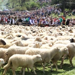 Błogosławieństwo owiec w Jaworkach