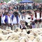Błogosławieństwo owiec w Jaworkach