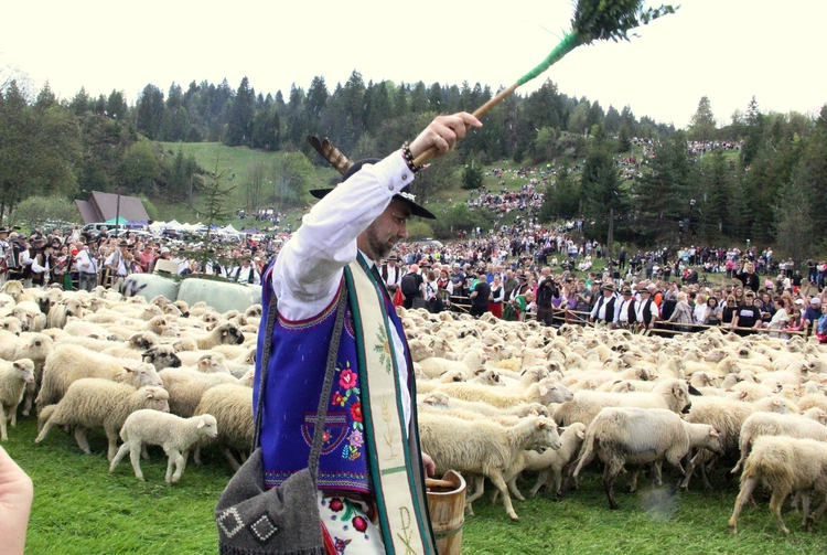 Błogosławieństwo owiec w Jaworkach