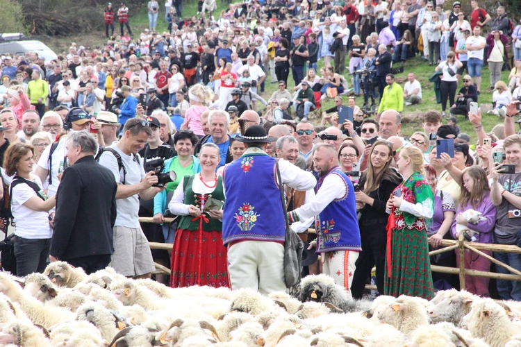 Błogosławieństwo owiec w Jaworkach