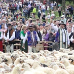 Błogosławieństwo owiec w Jaworkach