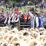 Błogosławieństwo owiec w Jaworkach