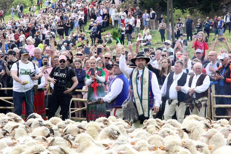 Błogosławieństwo owiec w Jaworkach