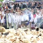 Błogosławieństwo owiec w Jaworkach