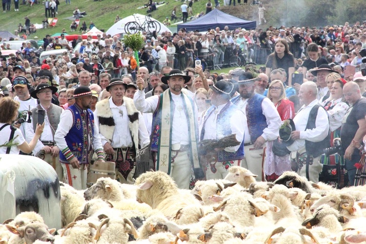 Błogosławieństwo owiec w Jaworkach