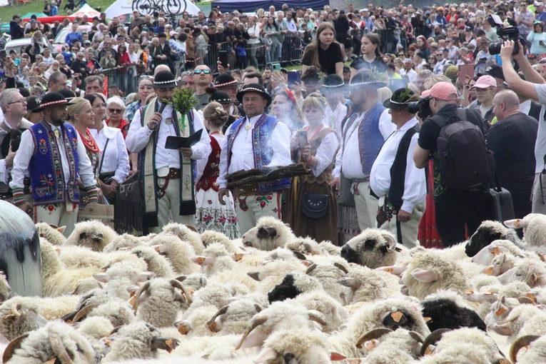 Błogosławieństwo owiec w Jaworkach