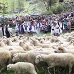 Błogosławieństwo owiec w Jaworkach