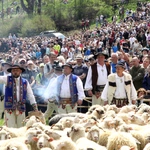 Błogosławieństwo owiec w Jaworkach