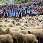 Błogosławieństwo owiec w Jaworkach